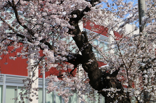 c0075701_2324623.jpg