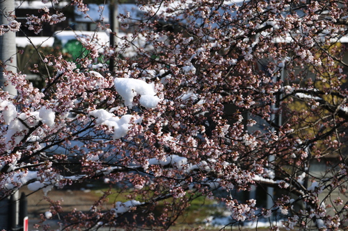 c0075701_23283283.jpg