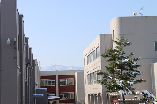 c0075701_2334303.jpg