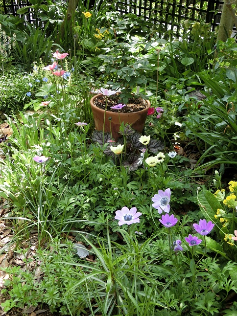 e0234004_2136315.jpg