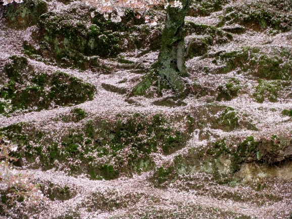 c0345705_15213558.jpg