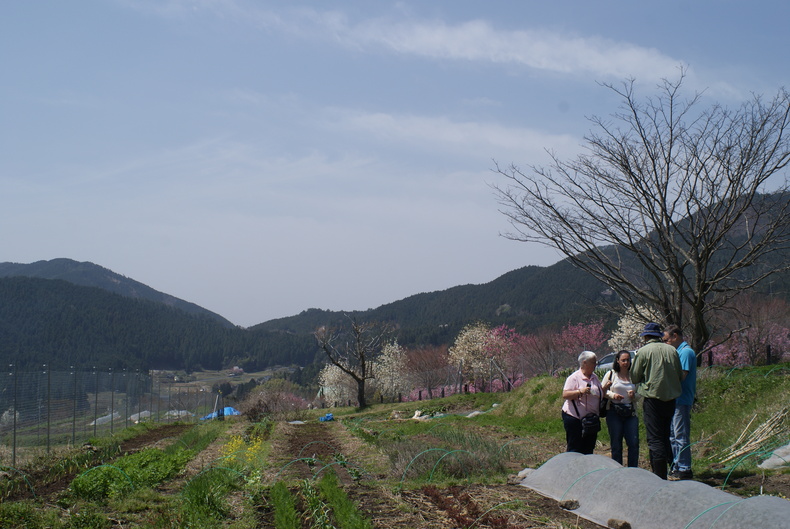 f0144707_1154197.jpg