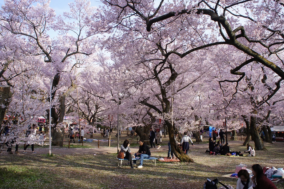 b0112909_14273752.jpg