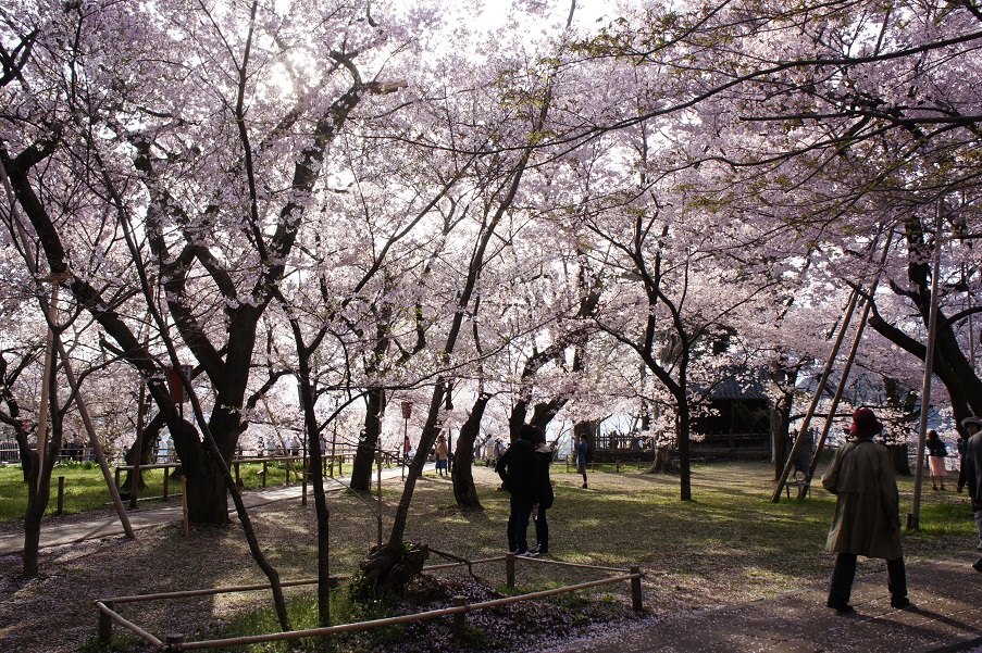 b0112909_1554593.jpg