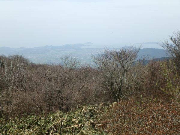 d0198313_08542629.jpg