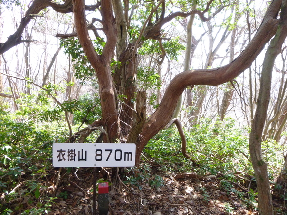 d0170615_849269.jpg