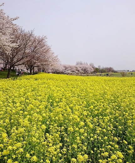 c0084117_18144472.jpg