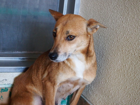 f0078320_14541377.jpg