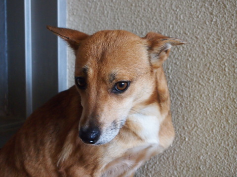 f0078320_14543357.jpg