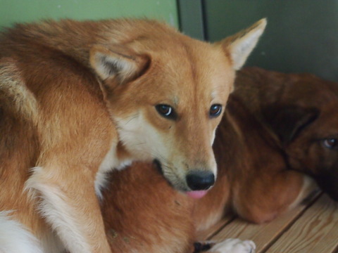 f0078320_15213469.jpg