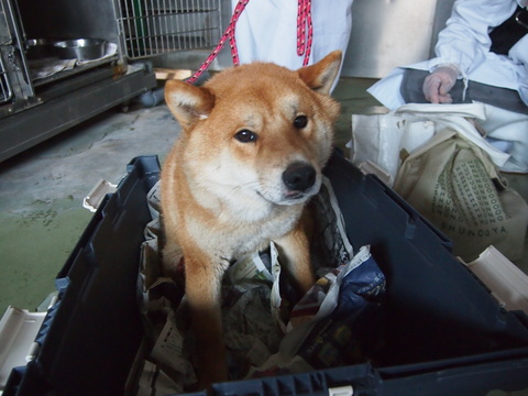 f0078320_1556594.jpg