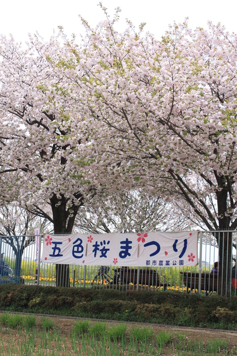 a0214329_81534100.jpg
