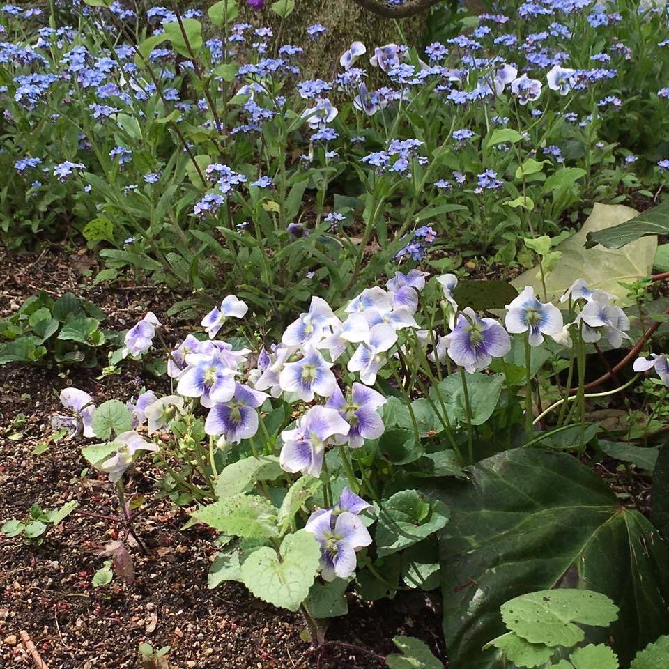 f0231829_20433499.jpg