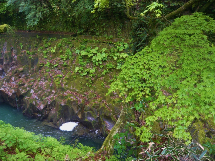 a0206332_1642613.jpg