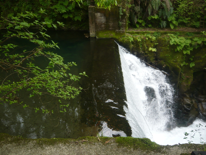 a0206332_165295.jpg