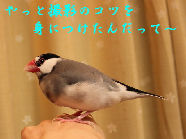 c0365734_21093633.jpg