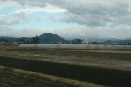 a0338635_035975.jpg