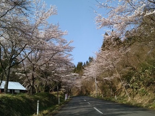 c0300035_17341877.jpg