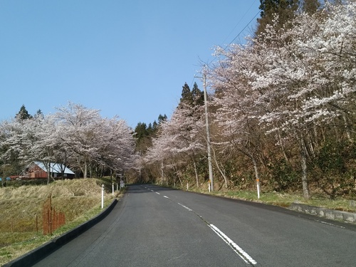 c0300035_1734338.jpg