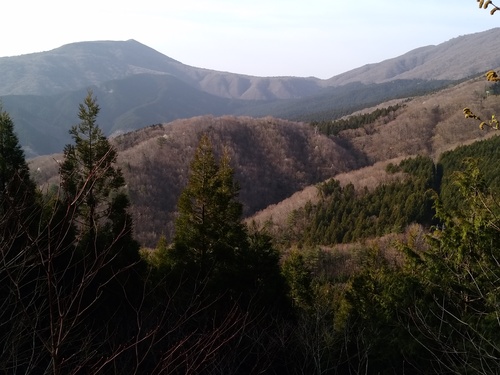 c0300035_17355100.jpg