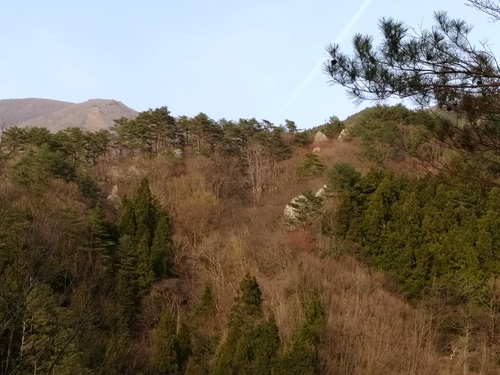 c0300035_17355360.jpg