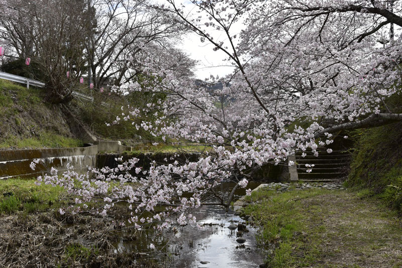 b0042837_1741330.jpg