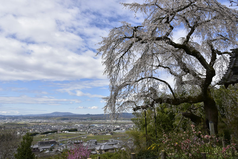 b0042837_17461430.jpg
