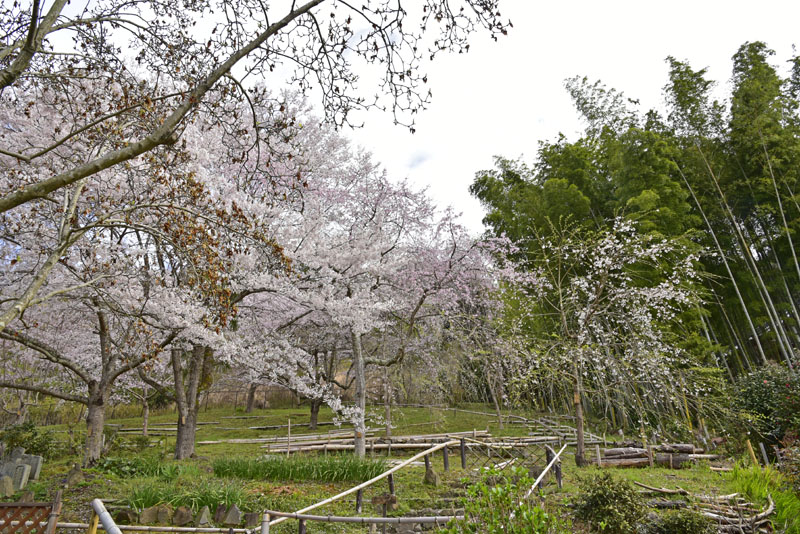 b0042837_17465635.jpg