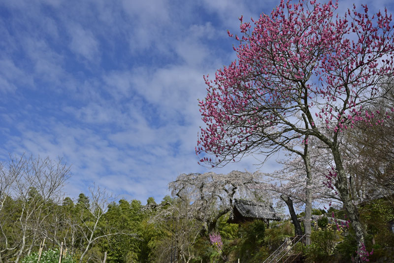 b0042837_17524132.jpg