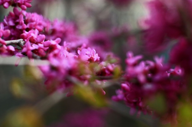 a0242438_19391911.jpg