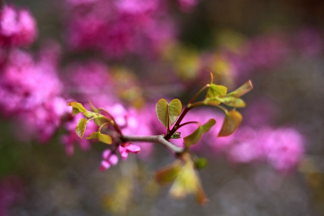 a0242438_19392451.jpg