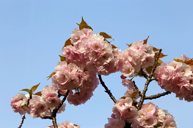 a0242438_1940310.jpg