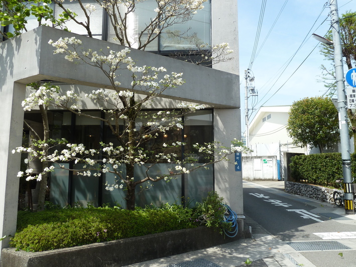 b0247739_8211631.jpg