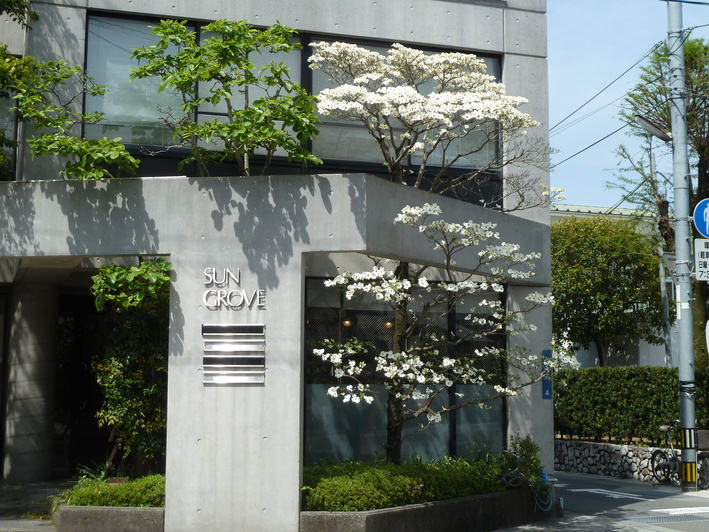 b0247739_821444.jpg
