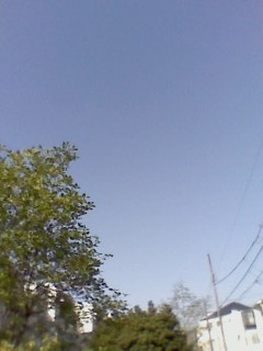 e0150843_015799.jpg
