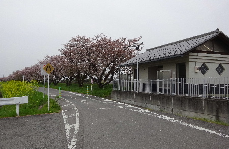 e0172950_20462992.jpg