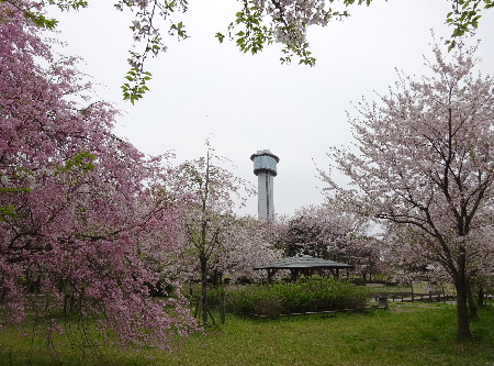 e0172950_2047553.jpg