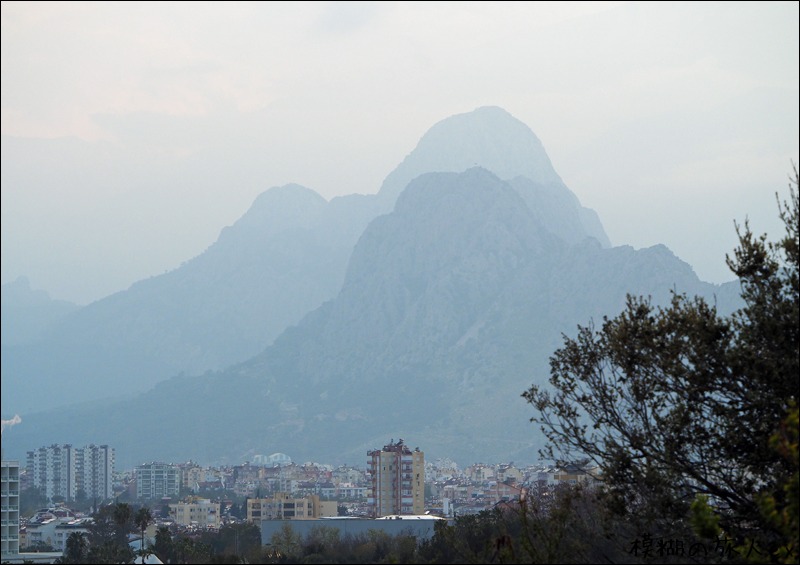 f0140054_824159.jpg