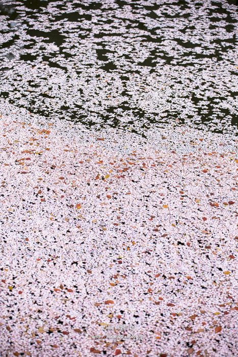 e0342760_02325148.jpg