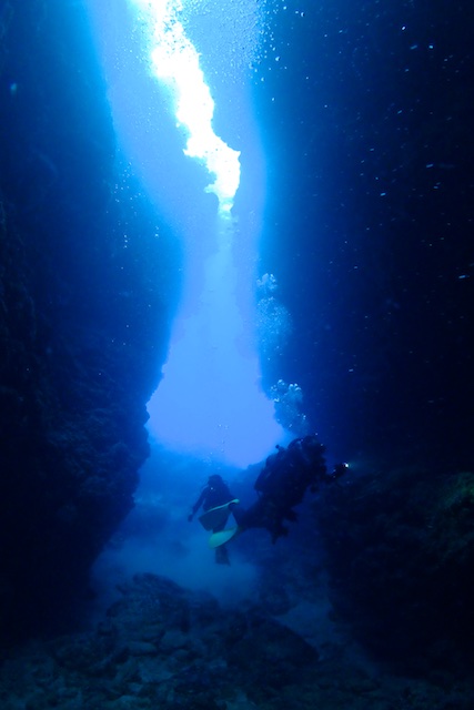 b0062363_17313246.jpg