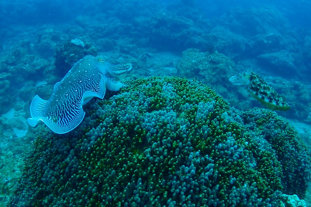 b0062363_17314729.jpg