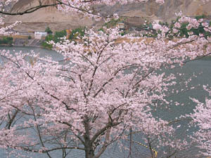 b0160363_1503778.jpg
