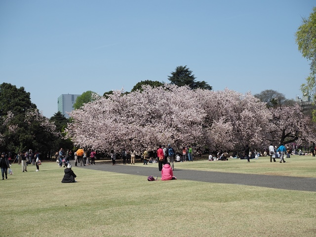 b0361063_08225624.jpg