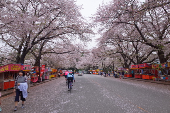 a0232368_06395834.jpeg