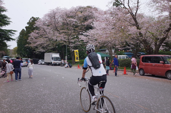 a0232368_06455019.jpeg