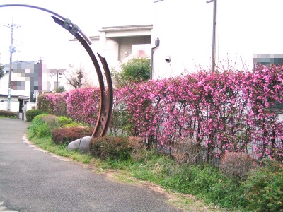 c0112172_0112482.jpg