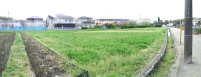 c0112172_0113167.jpg