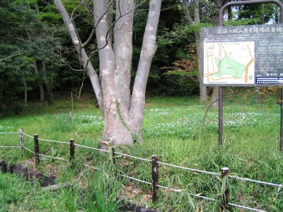 c0112172_0114099.jpg