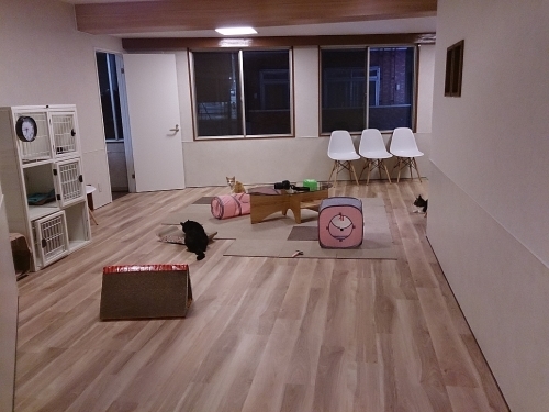 c0268274_00523226.jpg