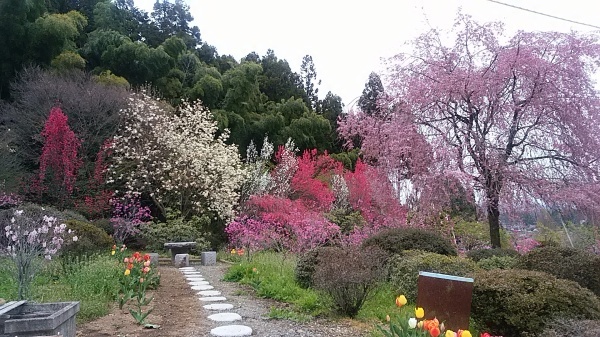 a0347276_14393559.jpg